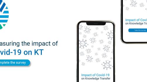 How has COVID-19 impacted your activities:survey